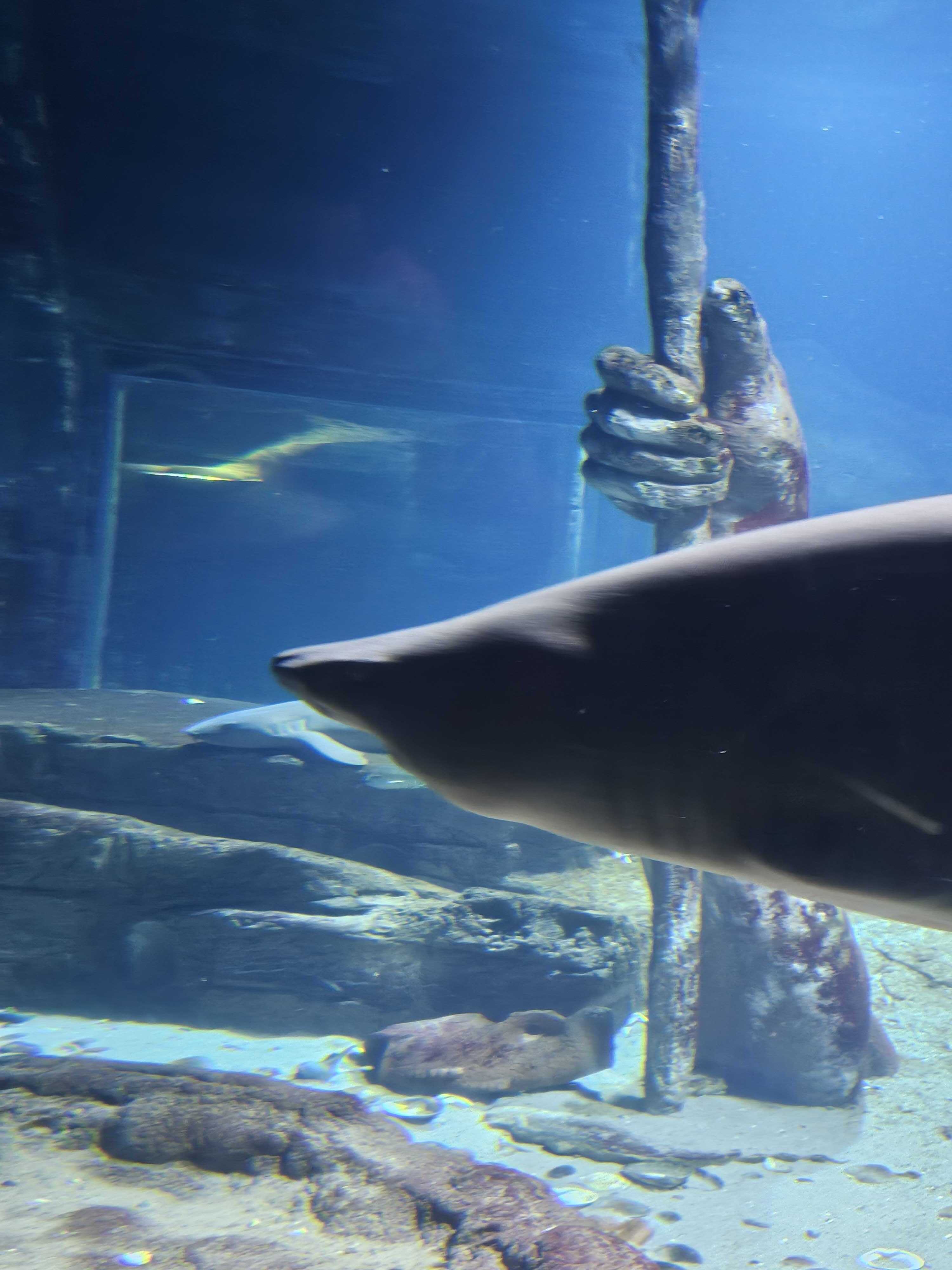 Aquarium